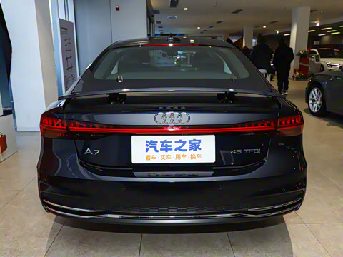 2025�� 45 TFSI ��ѡ��