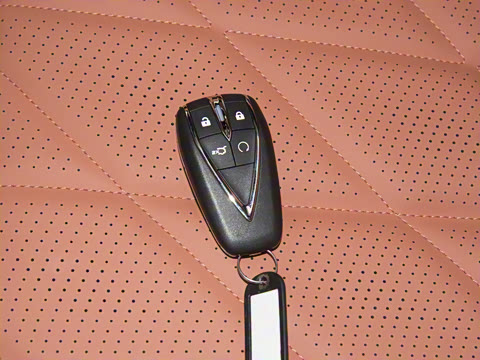 2025�� ���Ĵ� 1.5T ������ �ǻ�������