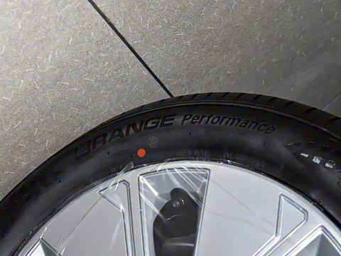 2025�� ��������