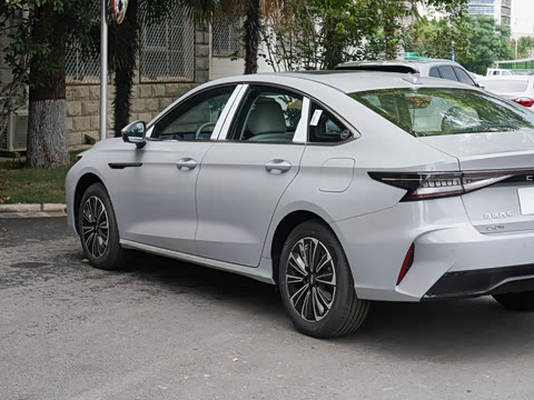 2024�� 127 Զ���� ������