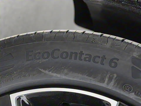 2025�� ������������