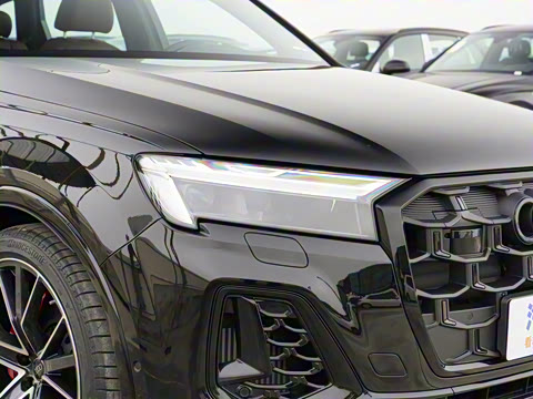 2025�� 55 TFSI quattro S line��ѩ�˶���