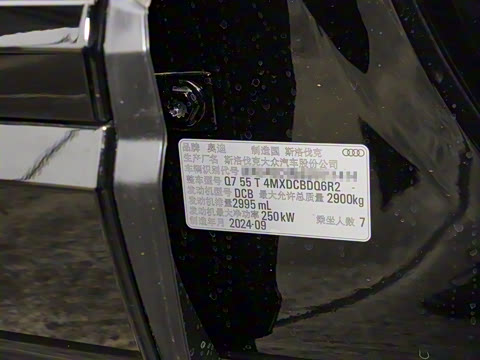 2025�� 55 TFSI quattro S line��ѩ�˶���