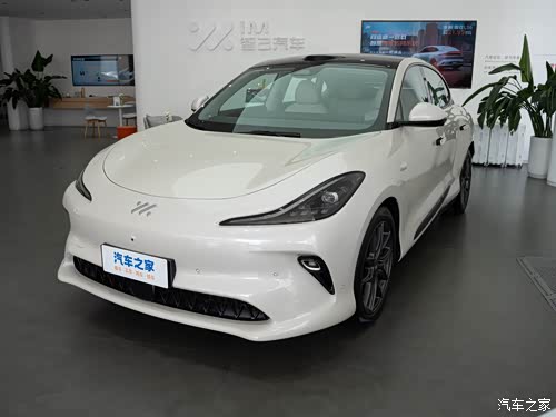 2025款 超强性能灵蜥智享版