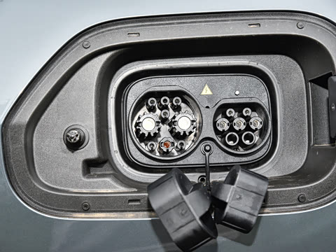 2024�� ����������