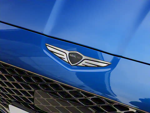 2024�� 2.0T ���Ͱ����������� Shooting Brake