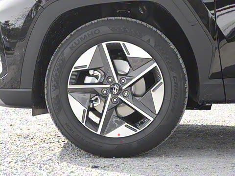 2025�� ;ʤL 1.5T ��Ӣ��