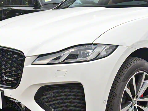 2025�� P250 R-Dynamic SE