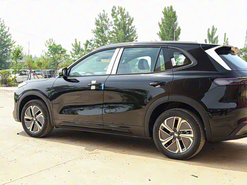 2025�� 55km ̽����