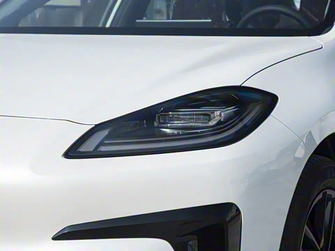 2025�� 520������