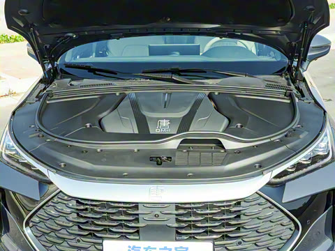 2025�� DM-i 115KM ������