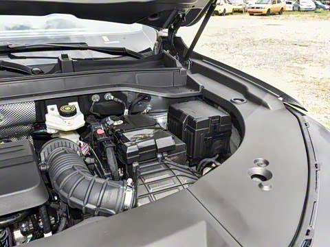 2024�� �Ŀ� 2.0T �Զ�����������������