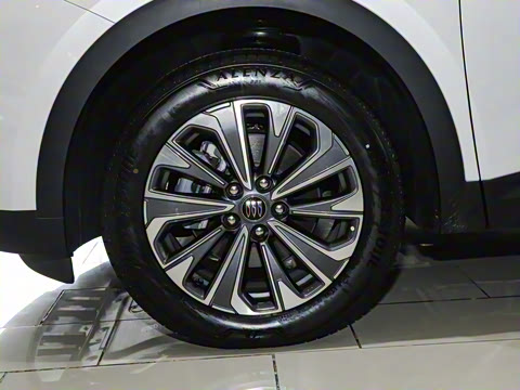 2024�� ������S 25T �ȷ��