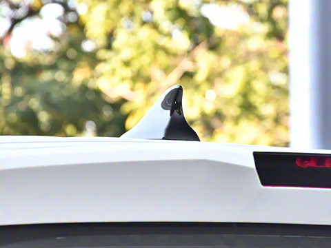 2024�� ���˰� 7��