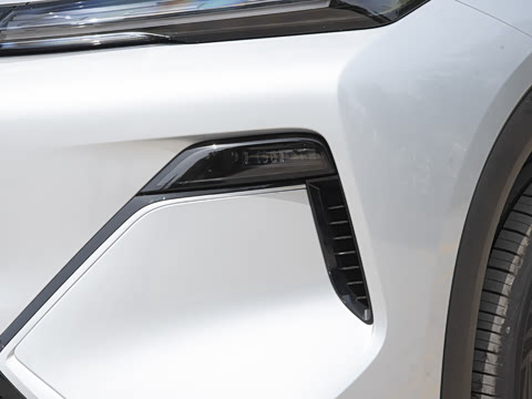 2025�� 55km ������