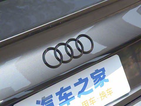 2024�� 40 TFSI ����������(��ҹ��)