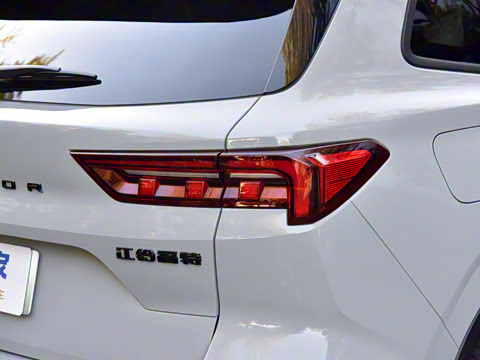 2025�� ������PLUS