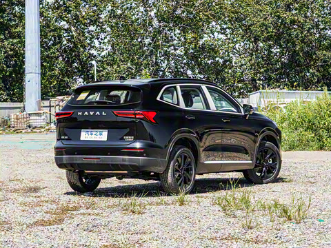 2024�� 2.0T ����Max