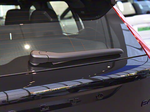 2025�� B4 ������Զ��ҹ�ڰ�