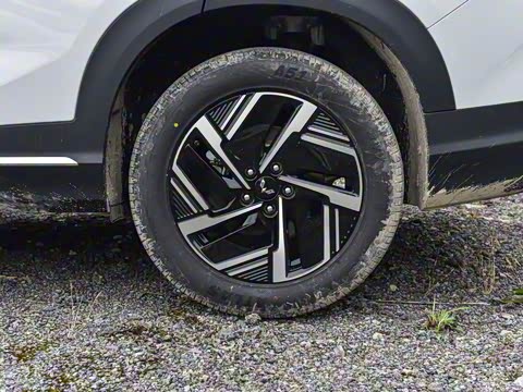 2025�� 130km �캽��