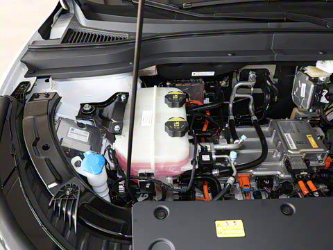 2025�� 445km ���ð�