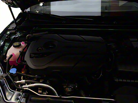 2025�� 2.0T Trophy+ �����Ǽݰ�