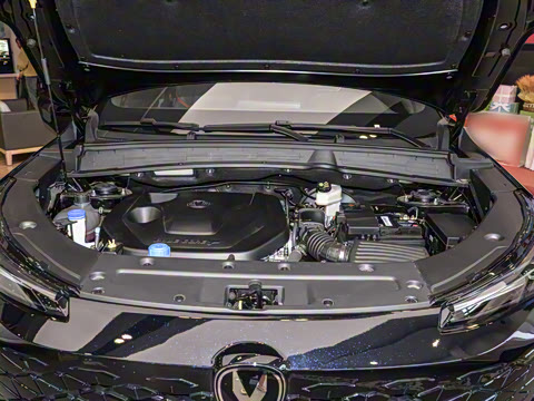 2024�� ������ 1.5T DCT׿Խ��