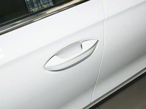 2025�� Pro 300TSI ��ҫ��