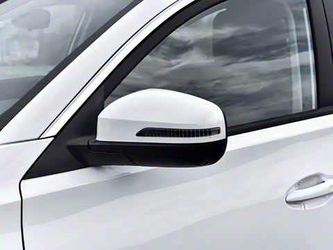 2024�� ������ 290TGDI �Զ����+�� 5��