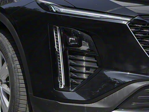 2023�� 25T ������