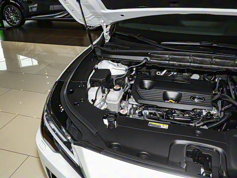 2023�� 350h ����������