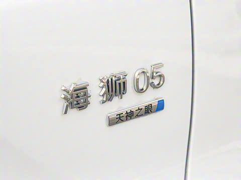 2025�� DM-i �Ǽݰ� 115KM�콢��