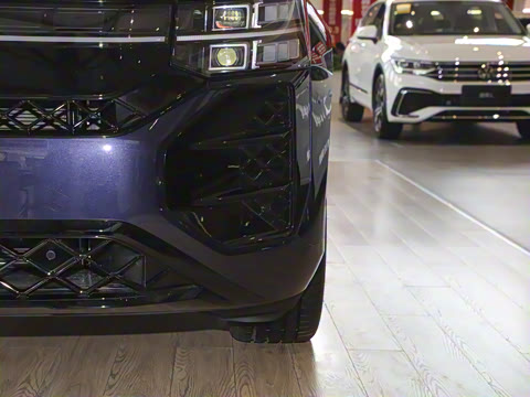 2025�� ;�� Pro 450TSI �����Ƿ��