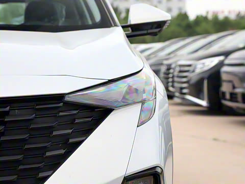 2025�� Ӱ�� 270T ������ ƽ������