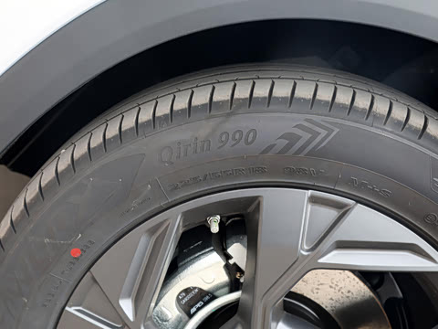 2025�� Ӱ�� 270T ������ ƽ������