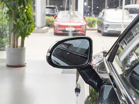 2025�� ���� Pro ���ٸ�����ʻ