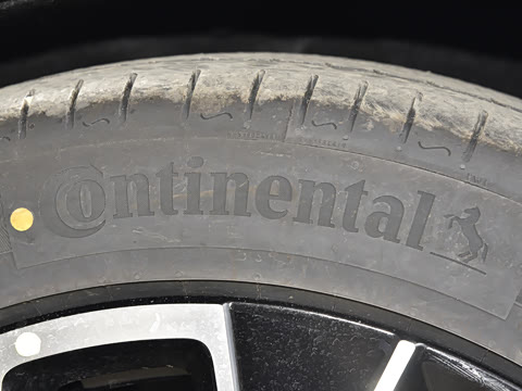 2025�� Pro�����