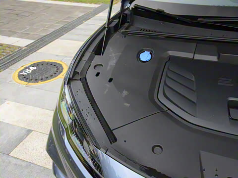 2025�� 550�������˰�