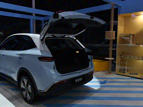 2025�� 565km ������