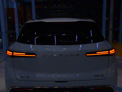 2025�� 565km ������