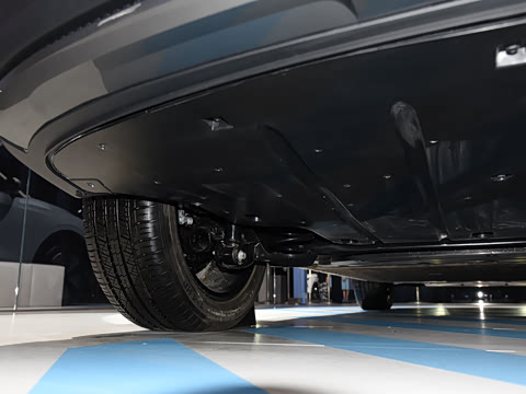 2025�� 565km ������