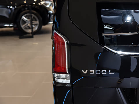 2024�� V 300 L ����������