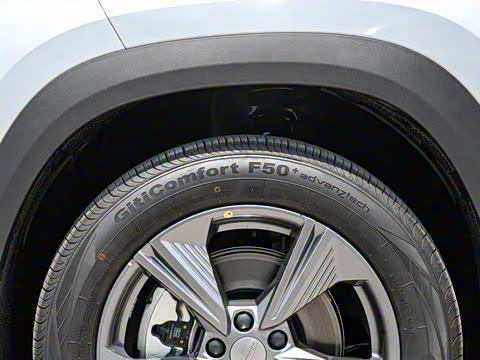 2025�� ���Ĵ� 1.5TD DCT �﷫