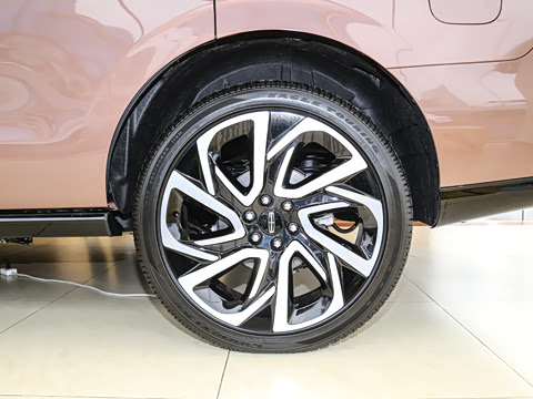 2025�� 3.5T ��ͳ��