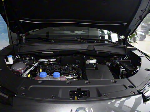 2025�� ����� 125 ��Խ��