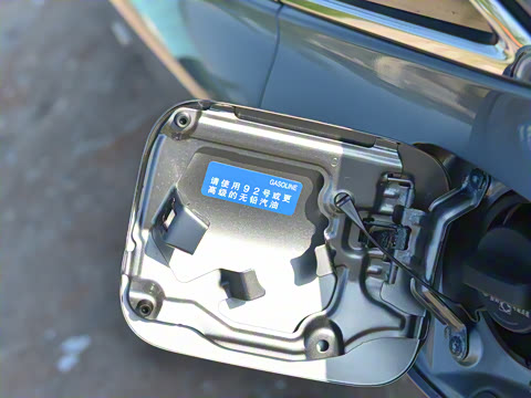 2024�� ˫�� 2.0L ������