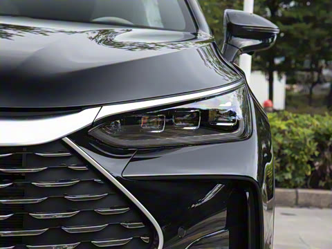 2025�� DM-i 115KM �콢��