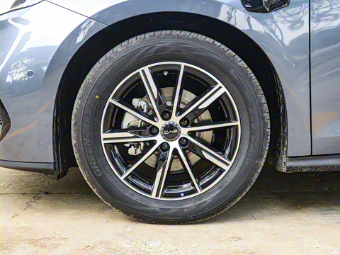 2025�� DM-i 150KM������