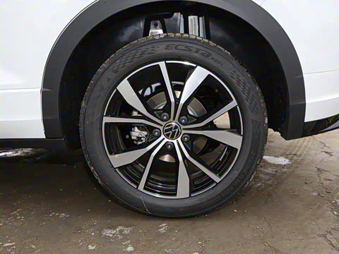 2025�� 300TSI DSG���������