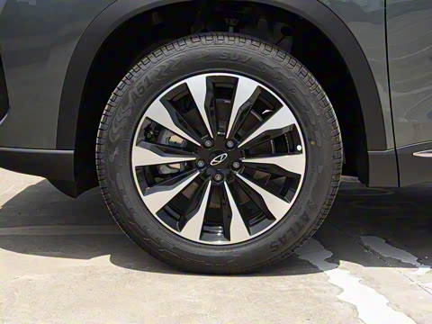 2025�� 290TGDI DCT�˷�� 7��